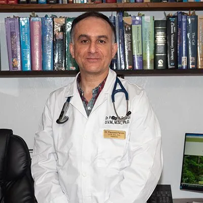 Dr. Payvand Parvizi